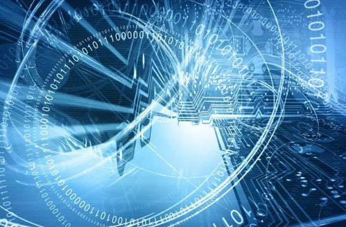 網絡清源 立法護航，技術賦能